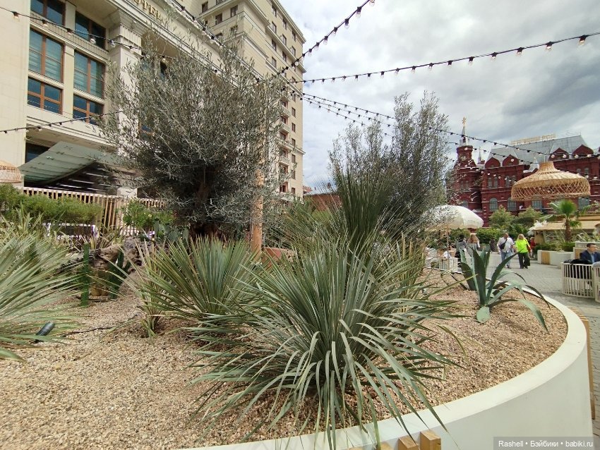 Лето 2024 с Гердочкой. Часть 5 Кремль и пальмы