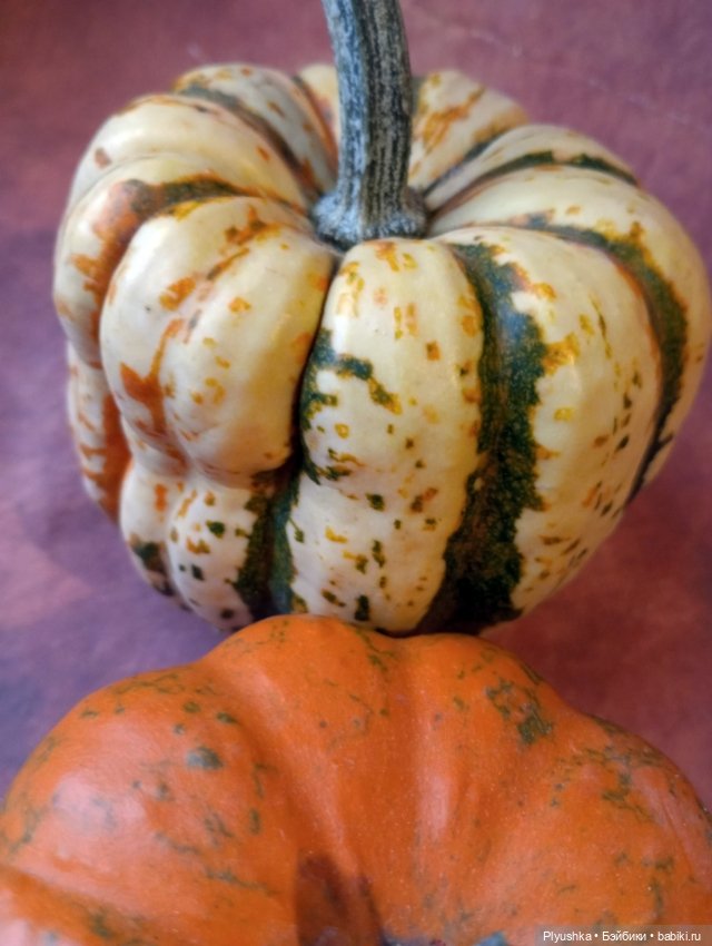 Кара и тыквы — Аналоги Барби и куклы 1/6: клоны 90 (фото 9)