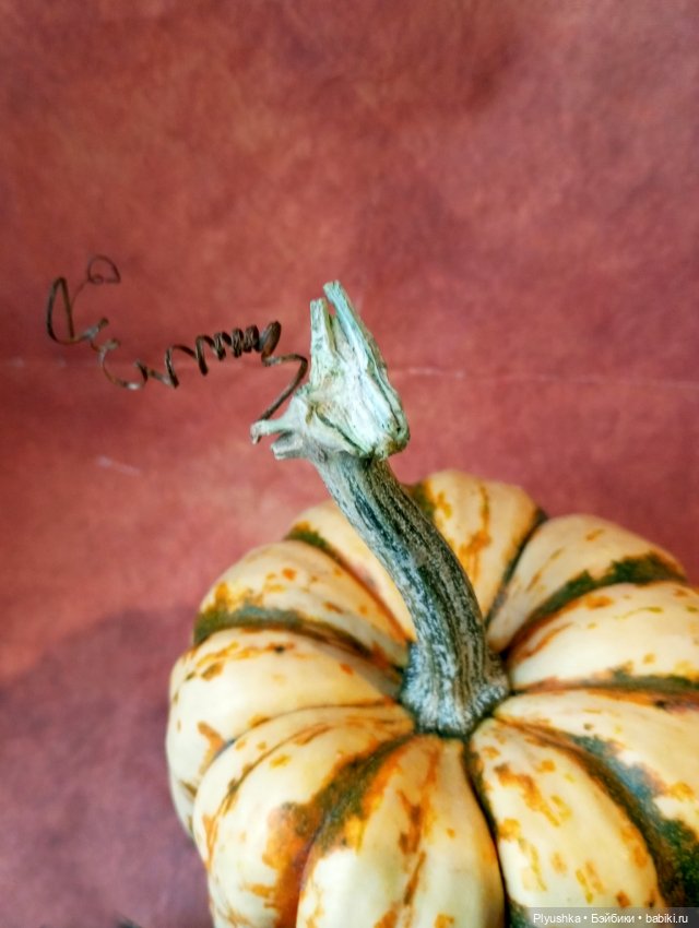 Кара и тыквы — Аналоги Барби и куклы 1/6: клоны 90 (фото 2)