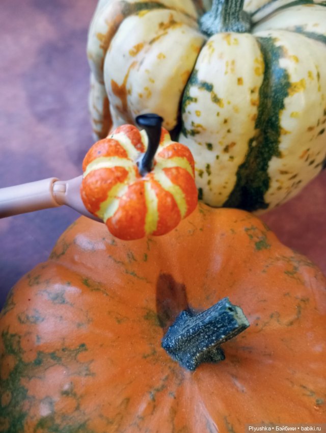 Кара и тыквы — Аналоги Барби и куклы 1/6: клоны 90 (фото 10)