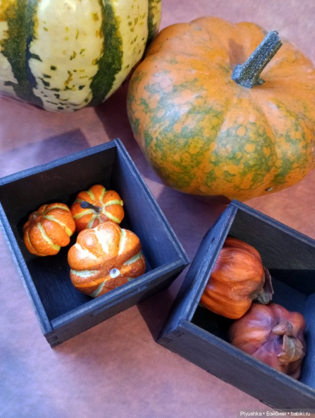 Кара и тыквы — Аналоги Барби и куклы 1/6: клоны 90