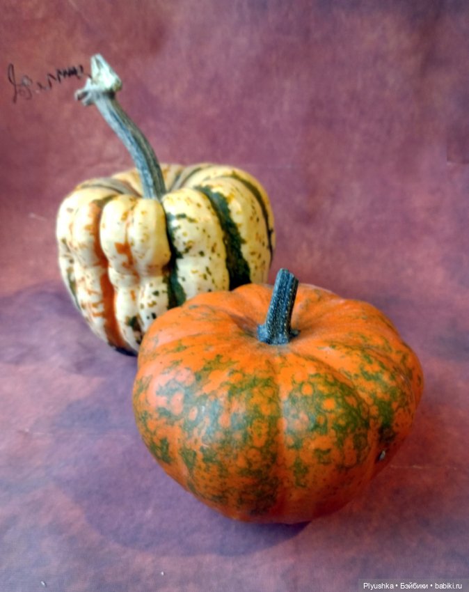 Кара и тыквы — Аналоги Барби и куклы 1/6: клоны 90 (фото 4)