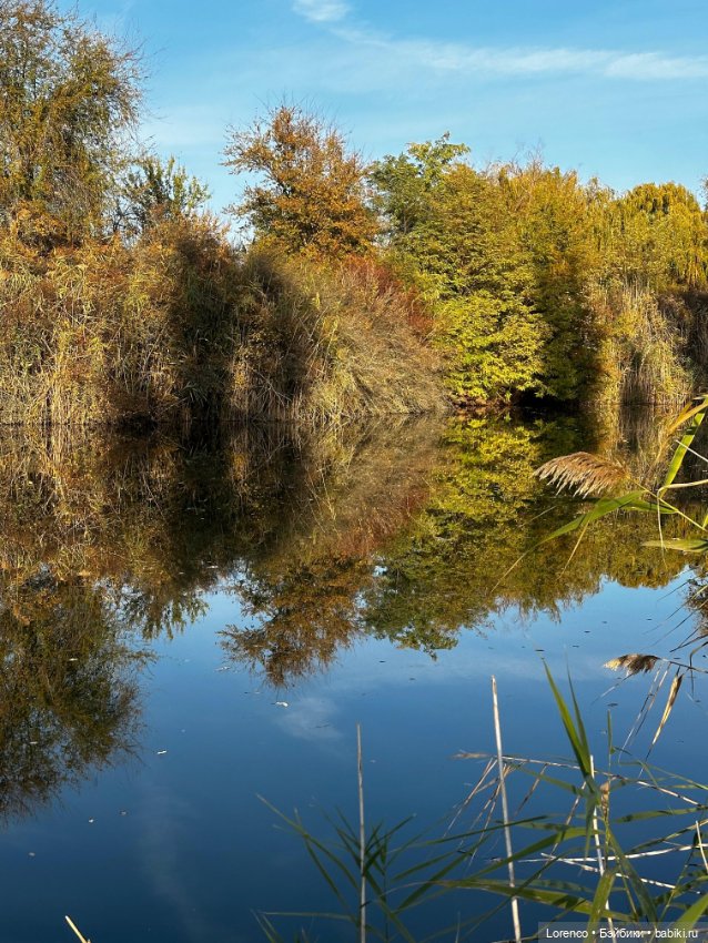 Осеннее — Игровые куклы разных производителей (Разное): редкие бренды