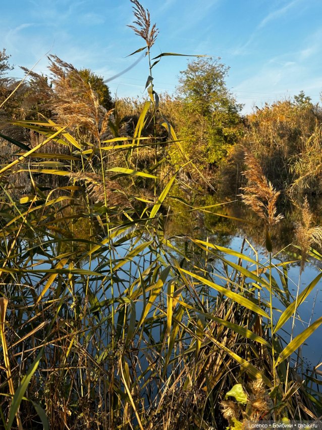 Осеннее — Игровые куклы разных производителей (Разное): редкие бренды
