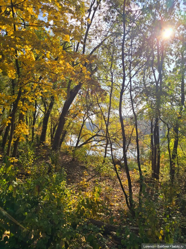 Осеннее — Игровые куклы разных производителей (Разное): редкие бренды (фото 6)