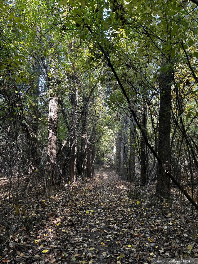 Осеннее — Игровые куклы разных производителей (Разное): редкие бренды (фото 8)