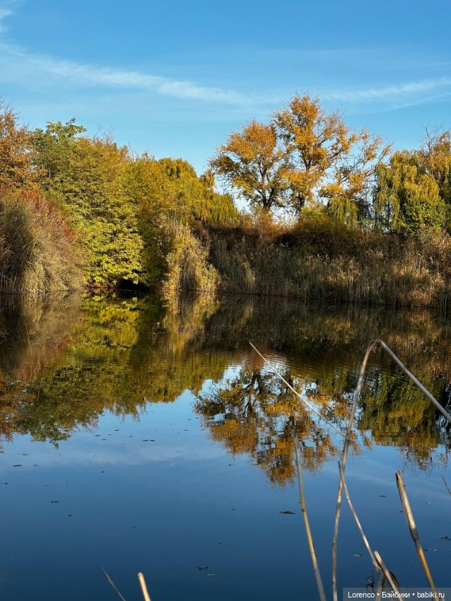 Осеннее — Игровые куклы разных производителей (Разное): редкие бренды