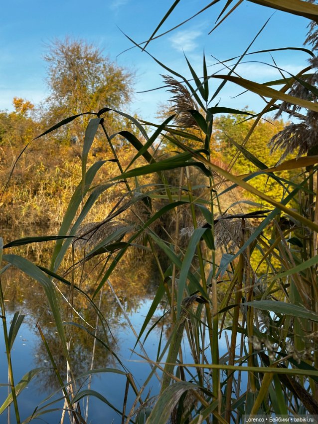 Осеннее — Игровые куклы разных производителей (Разное): редкие бренды