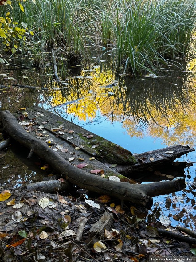 Осеннее — Игровые куклы разных производителей (Разное): редкие бренды (фото 7)