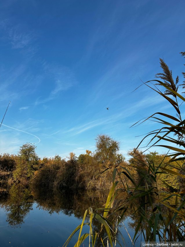 Осеннее — Игровые куклы разных производителей (Разное): редкие бренды