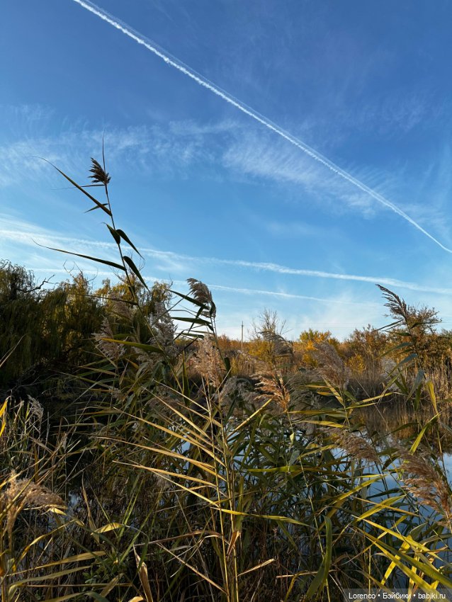 Осеннее — Игровые куклы разных производителей (Разное): редкие бренды