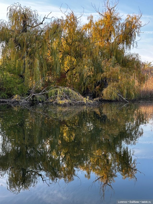 Осеннее — Игровые куклы разных производителей (Разное): редкие бренды