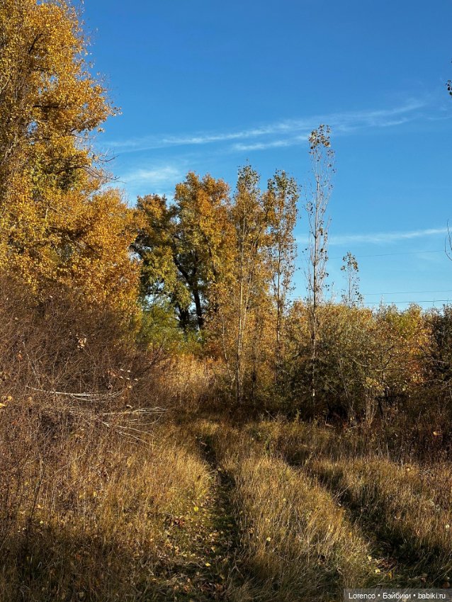 Осеннее — Игровые куклы разных производителей (Разное): редкие бренды