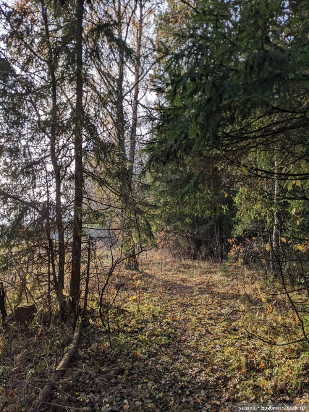 Очей очарованье — Игровые куклы Zwergnase (Цвергназе) Junior: Джуниор (фото 2)