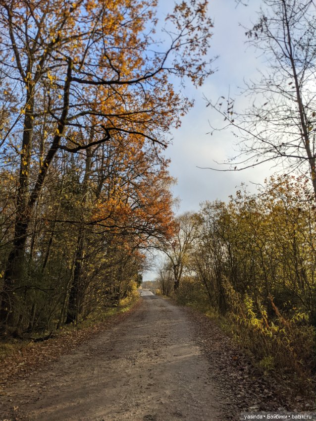 Очей очарованье — Игровые куклы Zwergnase (Цвергназе) Junior: Джуниор