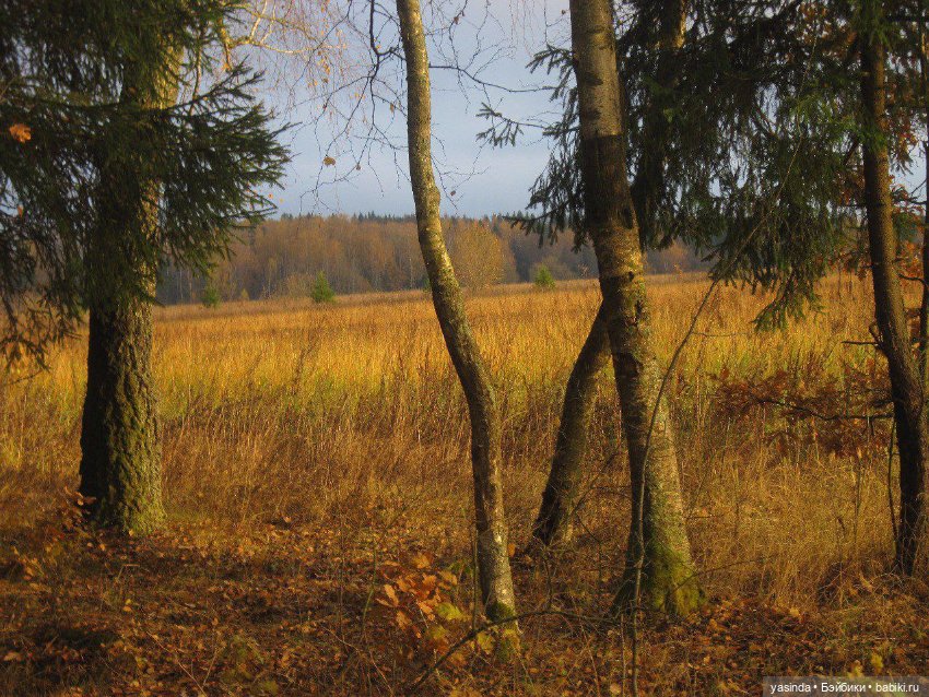 Очей очарованье — Игровые куклы Zwergnase (Цвергназе) Junior: Джуниор