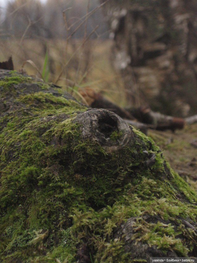 Очей очарованье — Игровые куклы Zwergnase (Цвергназе) Junior: Джуниор