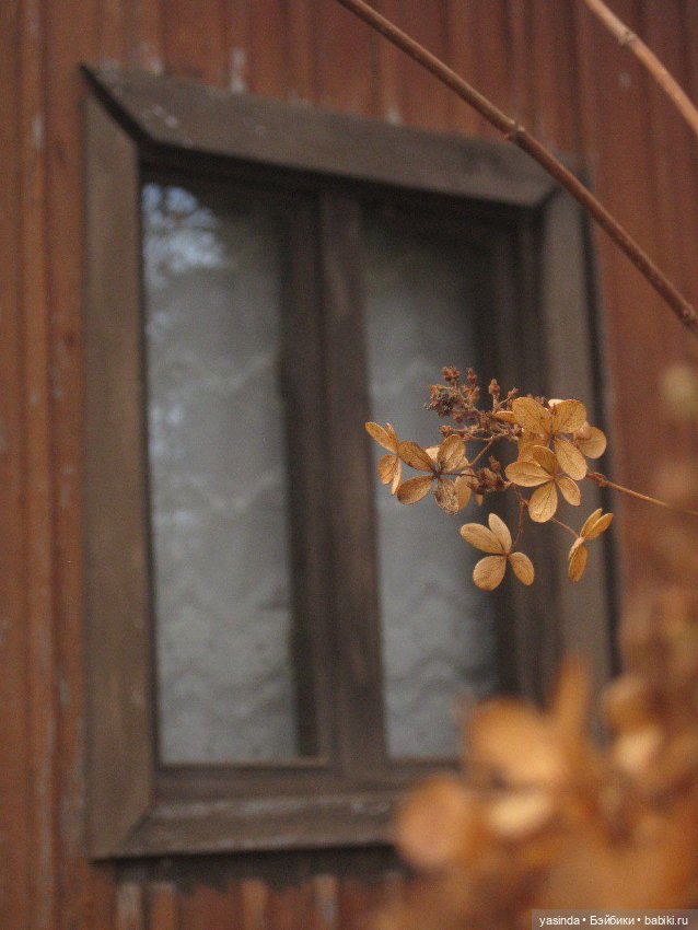 Очей очарованье — Игровые куклы Zwergnase (Цвергназе) Junior: Джуниор