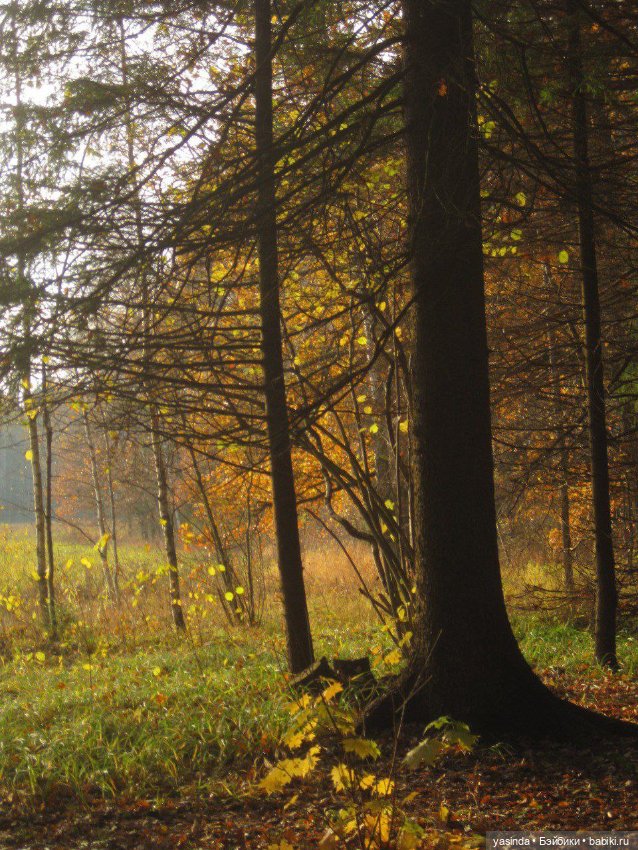 Очей очарованье — Игровые куклы Zwergnase (Цвергназе) Junior: Джуниор