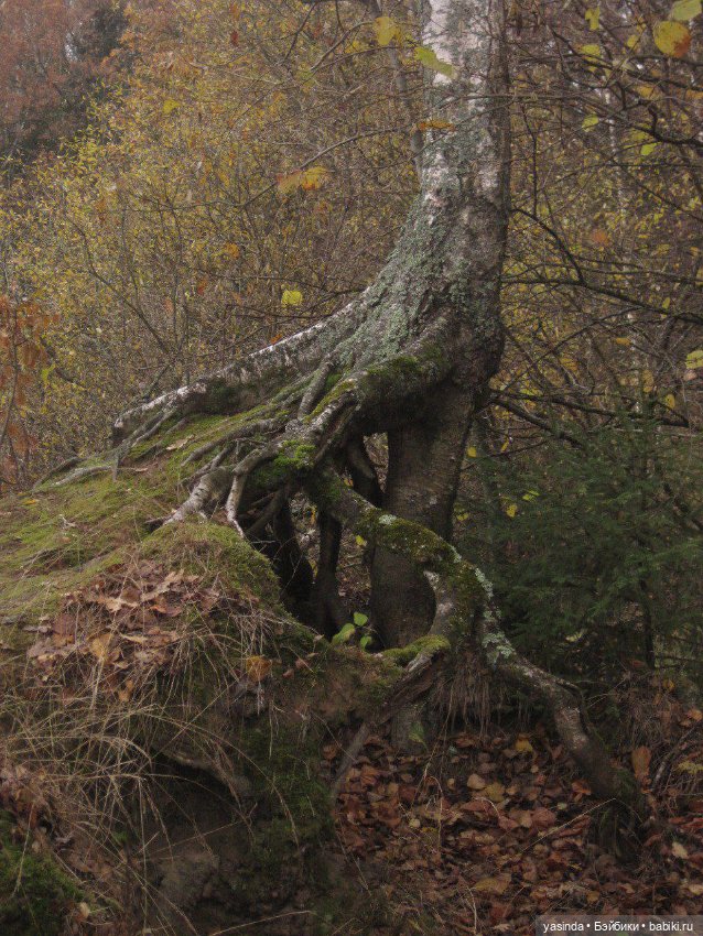 Очей очарованье — Игровые куклы Zwergnase (Цвергназе) Junior: Джуниор