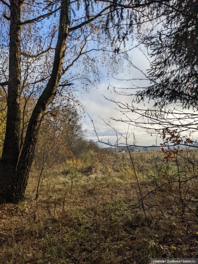 Очей очарованье — Игровые куклы Zwergnase (Цвергназе) Junior: Джуниор (фото 8)