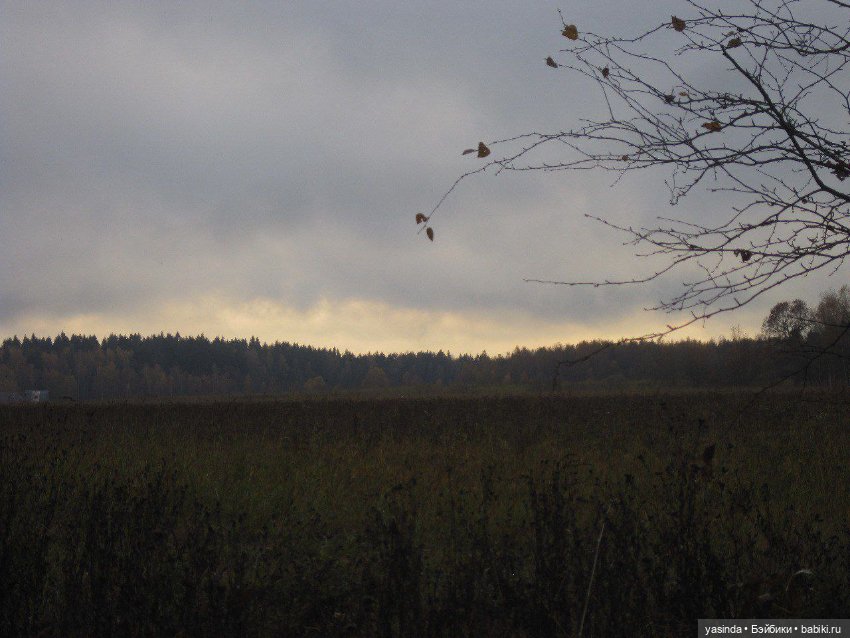 Очей очарованье — Игровые куклы Zwergnase (Цвергназе) Junior: Джуниор