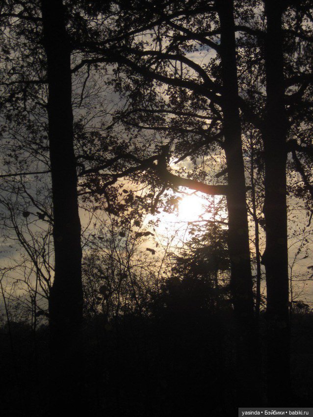 Очей очарованье — Игровые куклы Zwergnase (Цвергназе) Junior: Джуниор