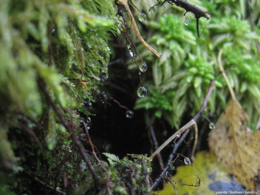 Очей очарованье — Игровые куклы Zwergnase (Цвергназе) Junior: Джуниор