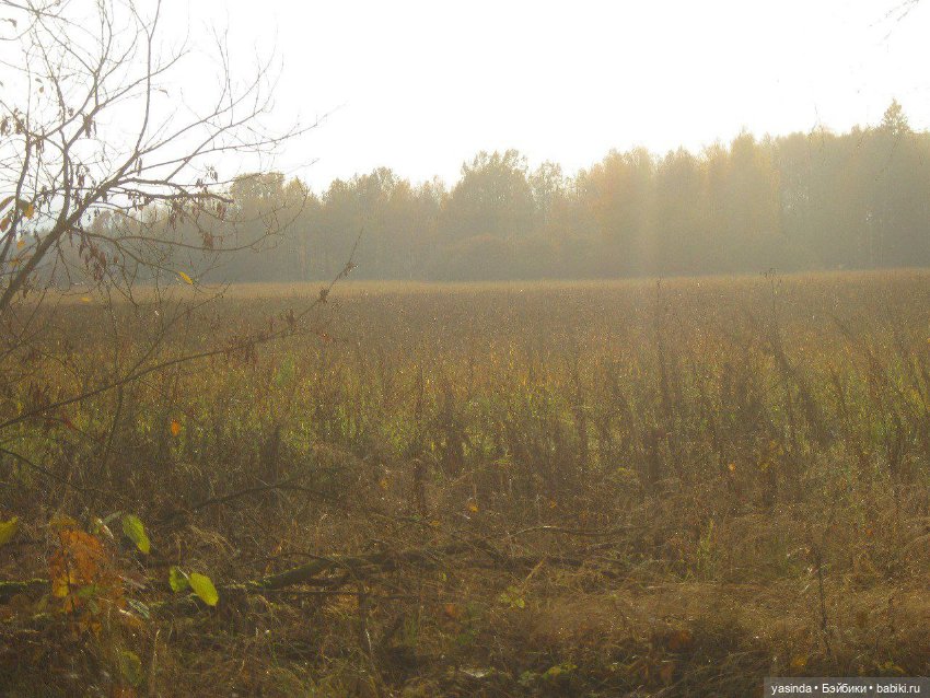 Очей очарованье — Игровые куклы Zwergnase (Цвергназе) Junior: Джуниор (фото 3)