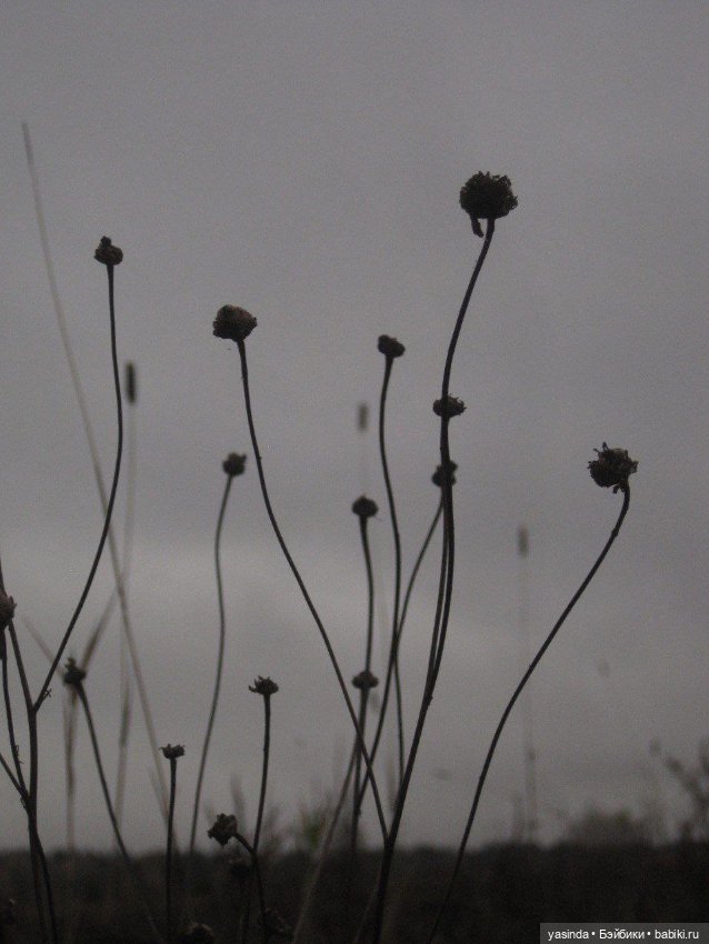 Очей очарованье — Игровые куклы Zwergnase (Цвергназе) Junior: Джуниор