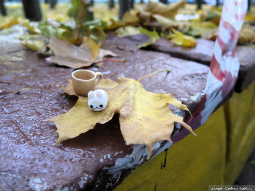 Дюймовочка Аским, ещё одна осень