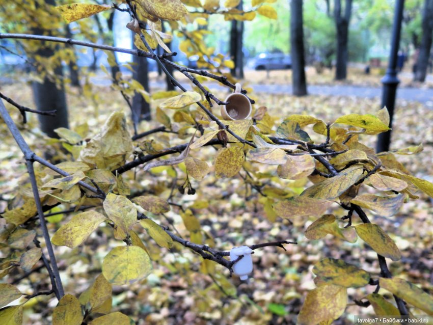 Дюймовочка Аским, ещё одна осень (фото 10)