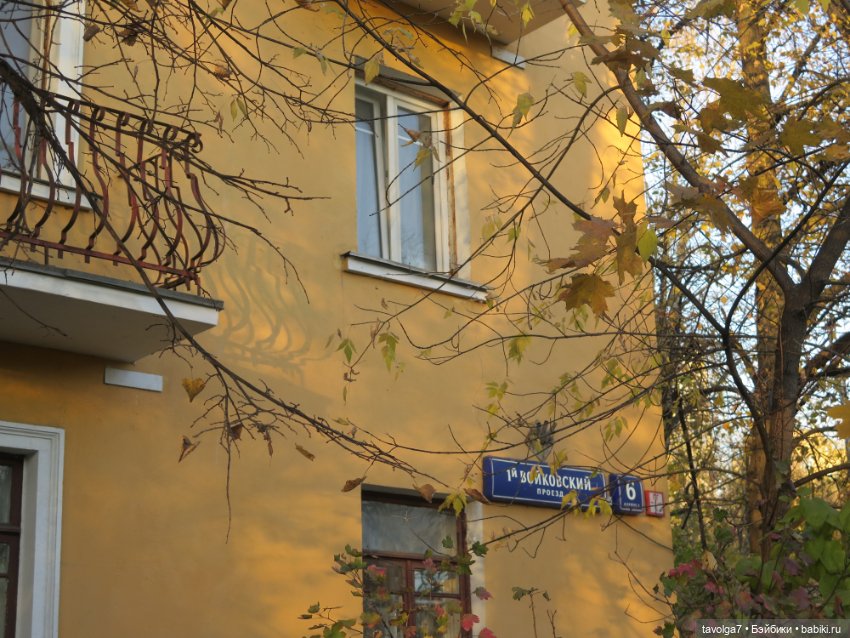 Дюймовочка Аским, ещё одна осень (фото 4)