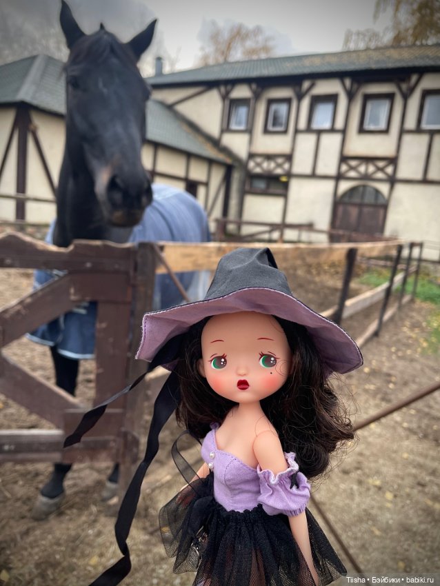 Маленькая ведьмочка Susa (Holala fairytown)