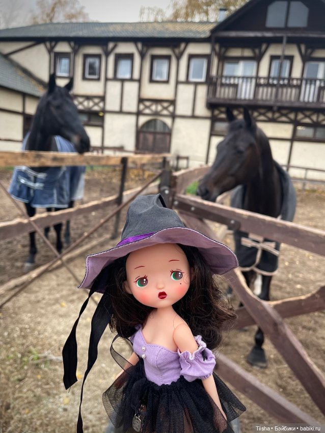 Маленькая ведьмочка Susa (Holala fairytown)