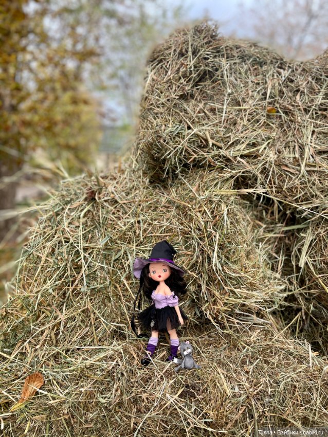 Маленькая ведьмочка Susa (Holala fairytown)