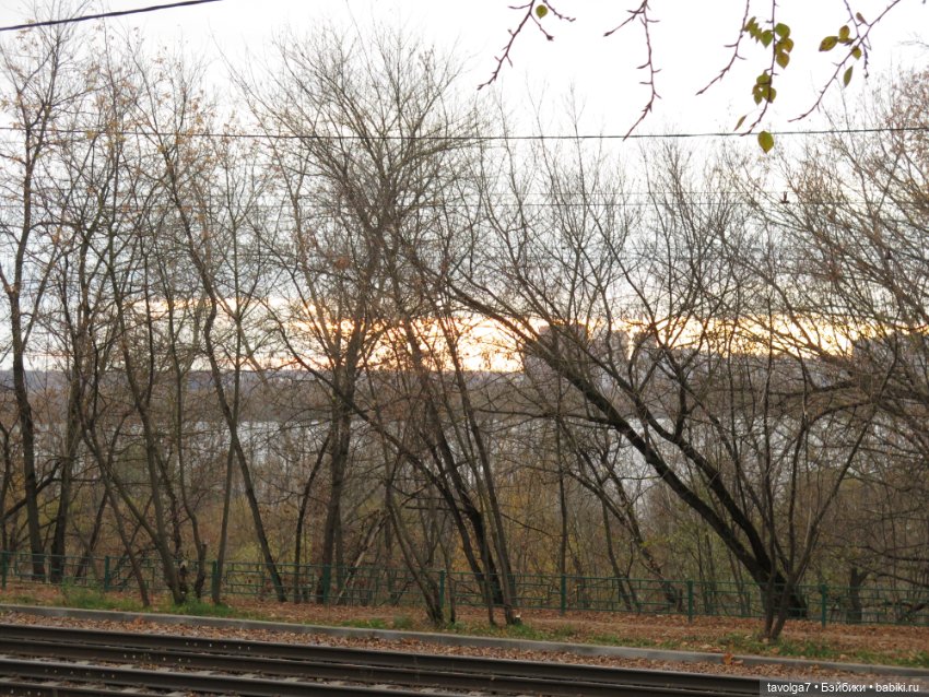 Хэллоуин, октябрь с Милим (фото 5)