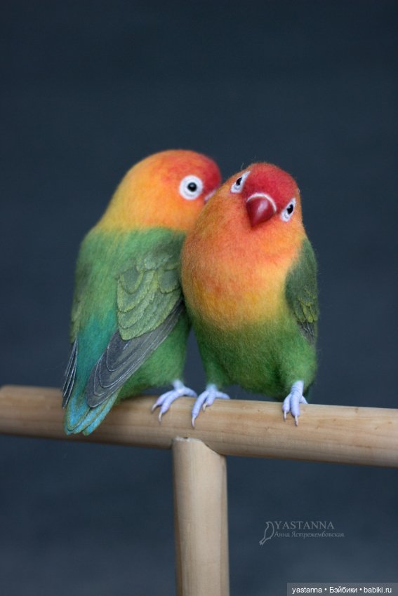 Неразлучники — Валяные игрушки из шерсти: сухое валяние