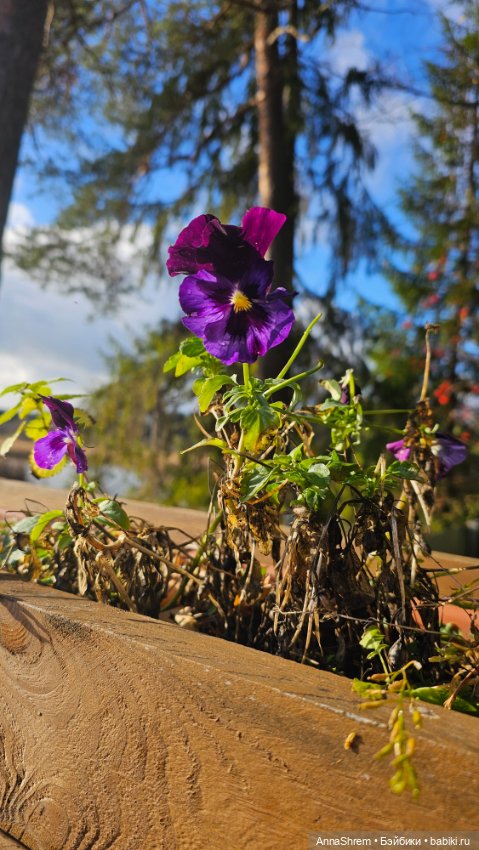 Осеннее тыквенное — Авторские игрушки из разных материалов: синельная проволока