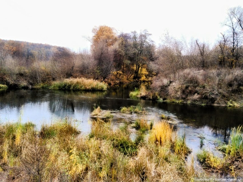 Про Нафочку. Ноябрь уж наступил