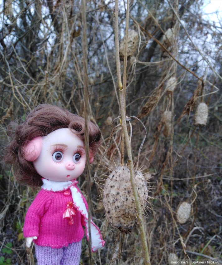 Про Нафочку. Ноябрь уж наступил