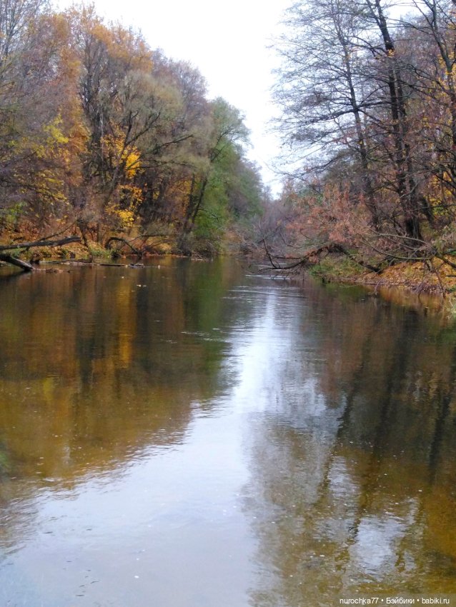 Про Нафочку. Ноябрь уж наступил