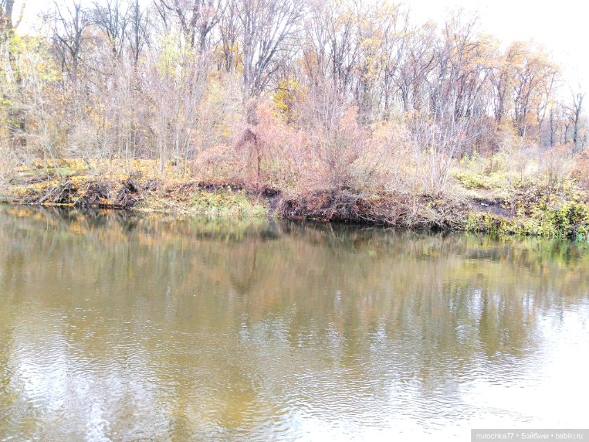 Про Нафочку. Ноябрь уж наступил