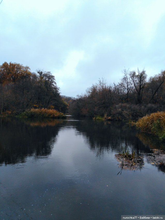 Про Нафочку. Ноябрь уж наступил (фото 10)