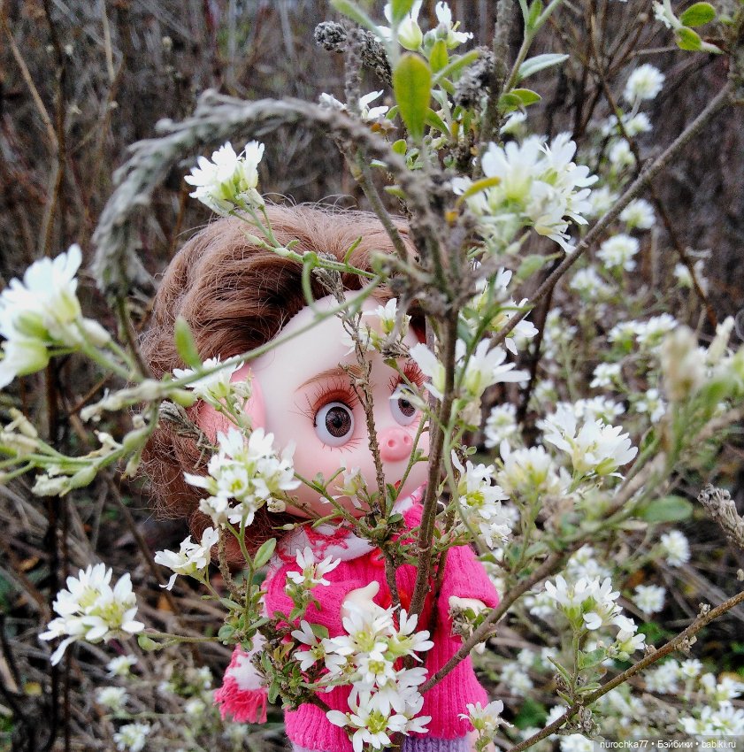 Про Нафочку. Ноябрь уж наступил (фото 9)