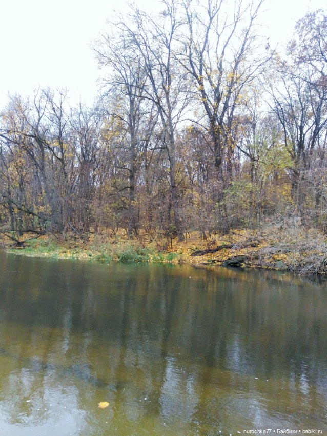 Про Нафочку. Ноябрь уж наступил