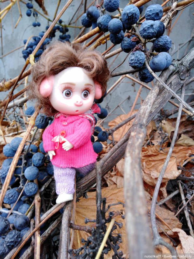 Про Нафочку. Ноябрь уж наступил (фото 3)