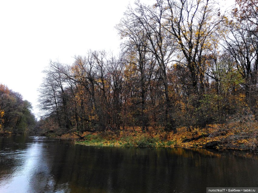 Про Нафочку. Ноябрь уж наступил