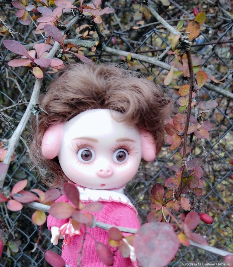 Про Нафочку. Ноябрь уж наступил (фото 5)