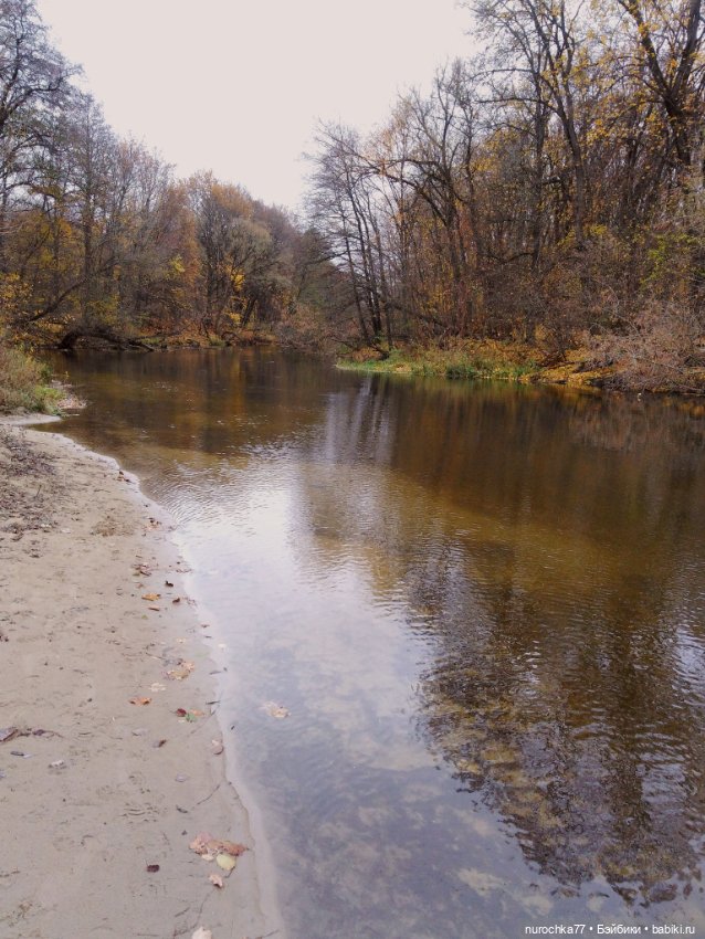 Про Нафочку. Ноябрь уж наступил